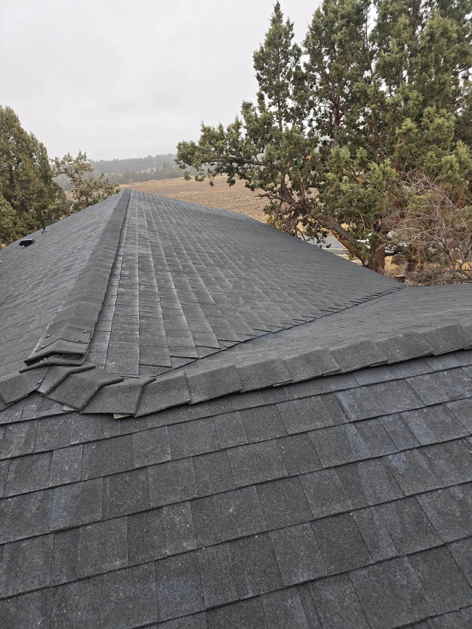 Dark shingle roof with ridge detail surrounded by trees